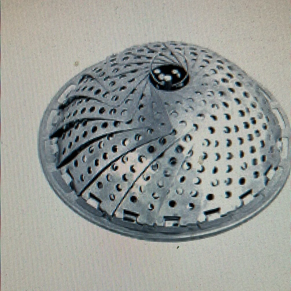 Silver Steamer Basket